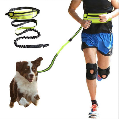 Hands-Free Dog Leash