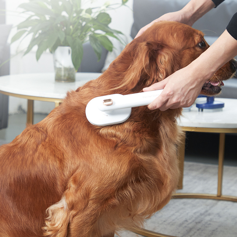 Pet Grooming Brush