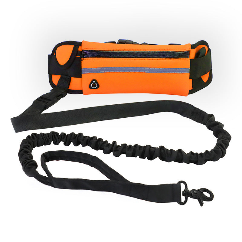 Hands-Free Dog Leash - orange