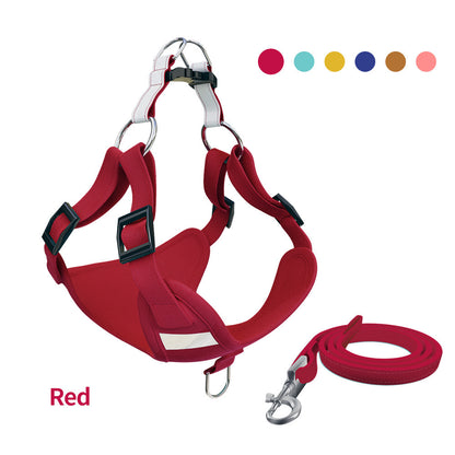 Reflective Dog Leash and Harness Set