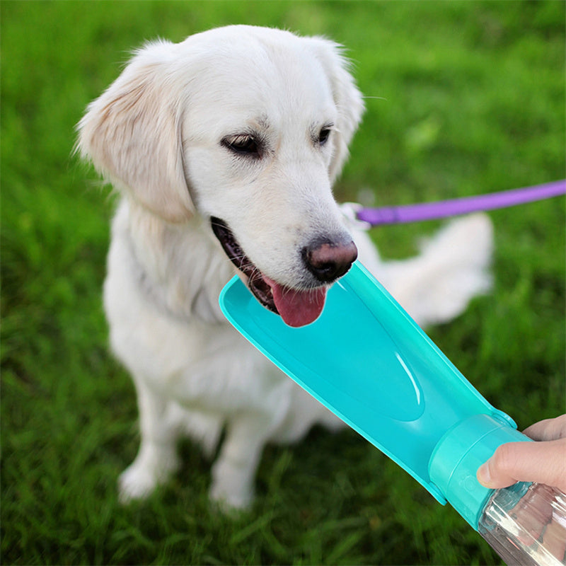 Pet Cat or Dog Water Bottle